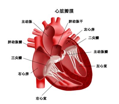Fꖏ(qing)ֱt(y)ԺL(fng)K.jpg