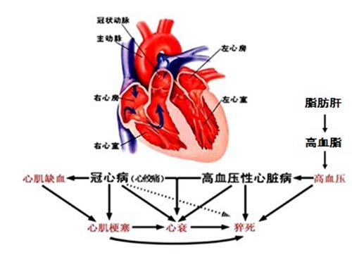 貴陽強直醫(yī)院高尿酸血癥會引發(fā)的疾病.jpg